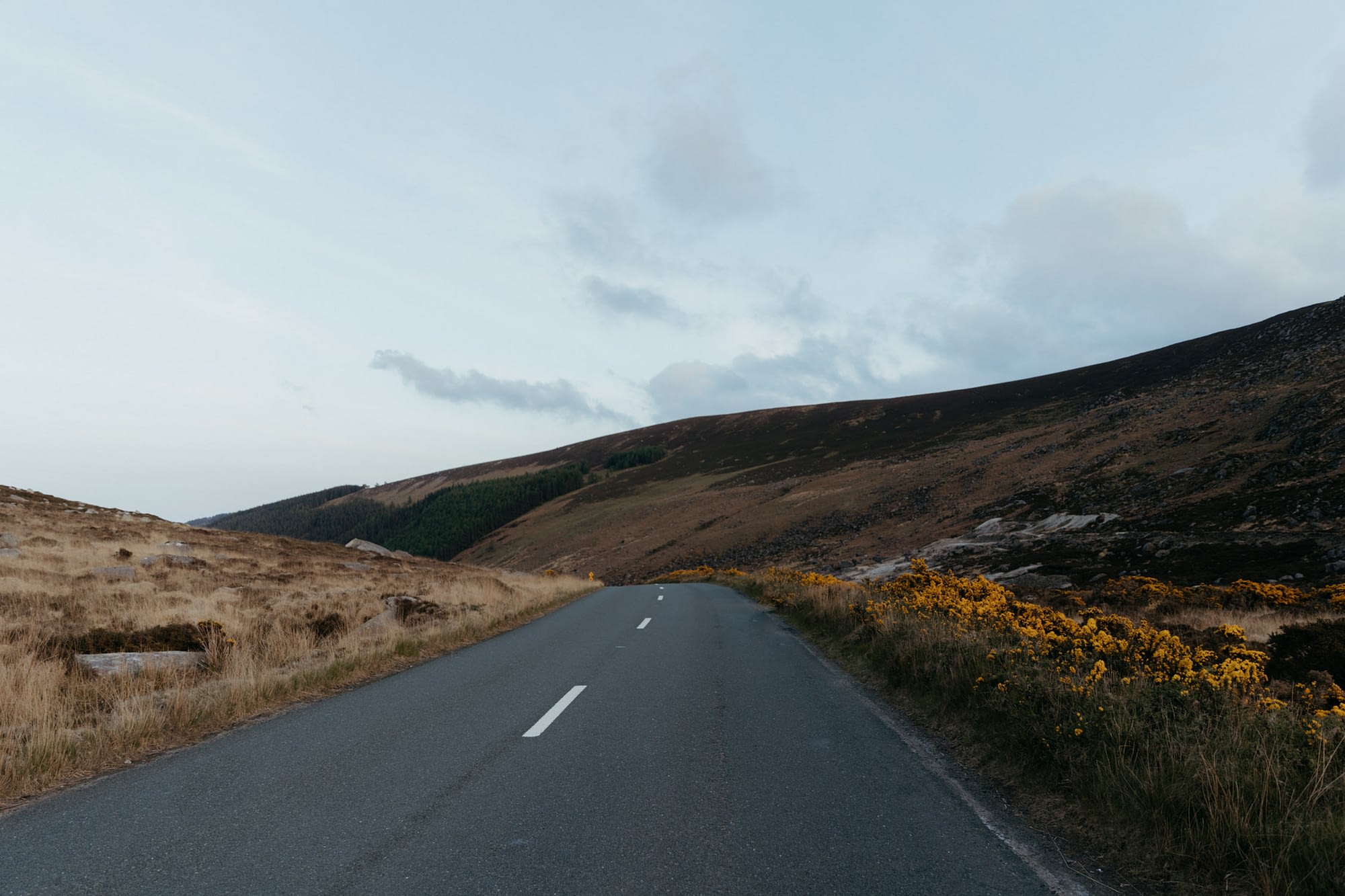 Irish Mountain Elopement